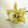 abheri